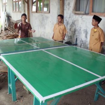 Tenis Meja