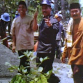 Wakil Walikota
